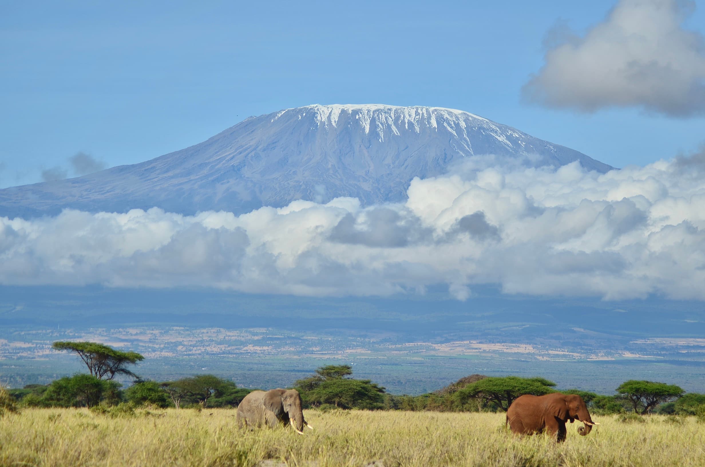 Amboseli National Park