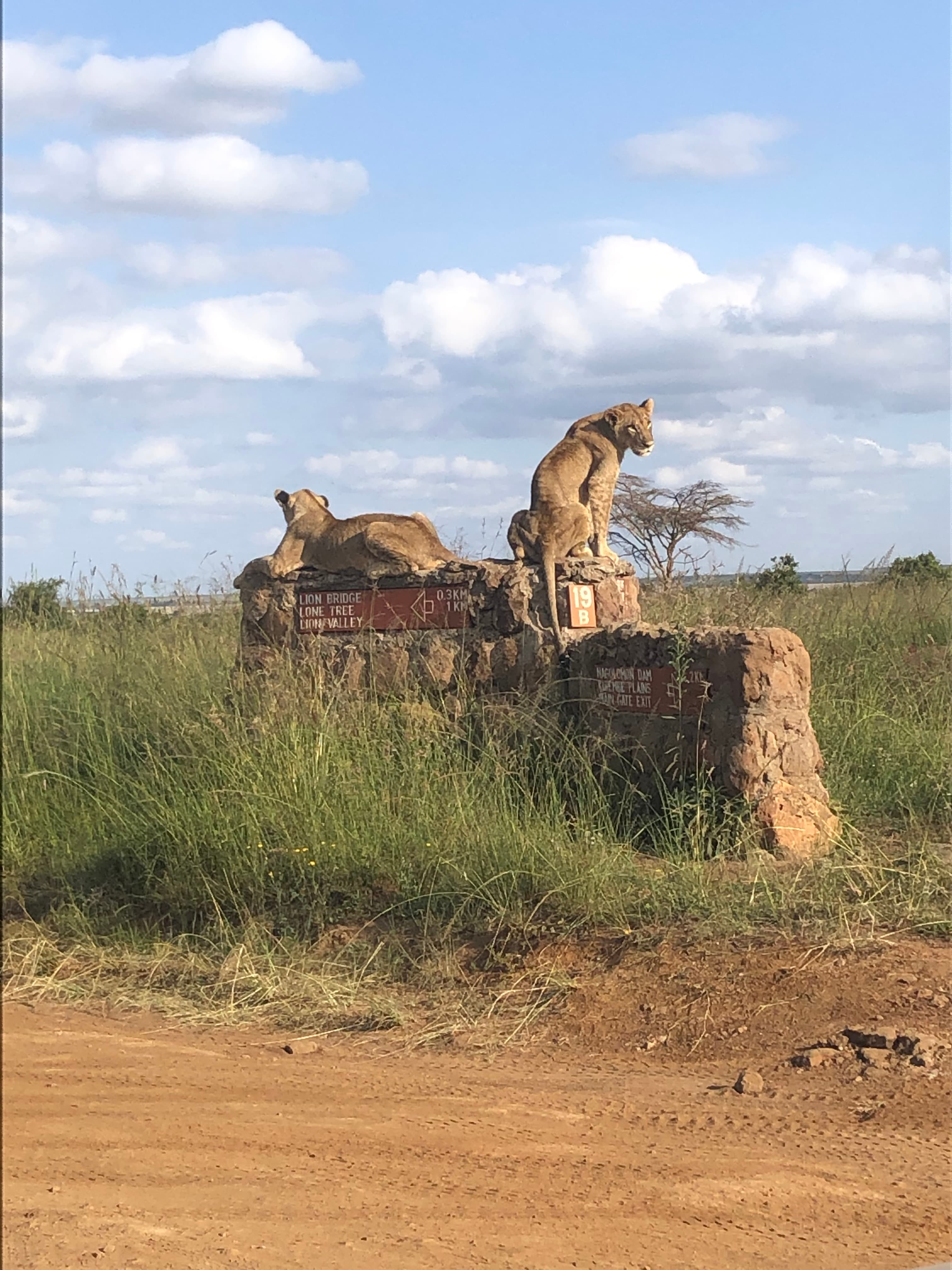 Nairobi National Park